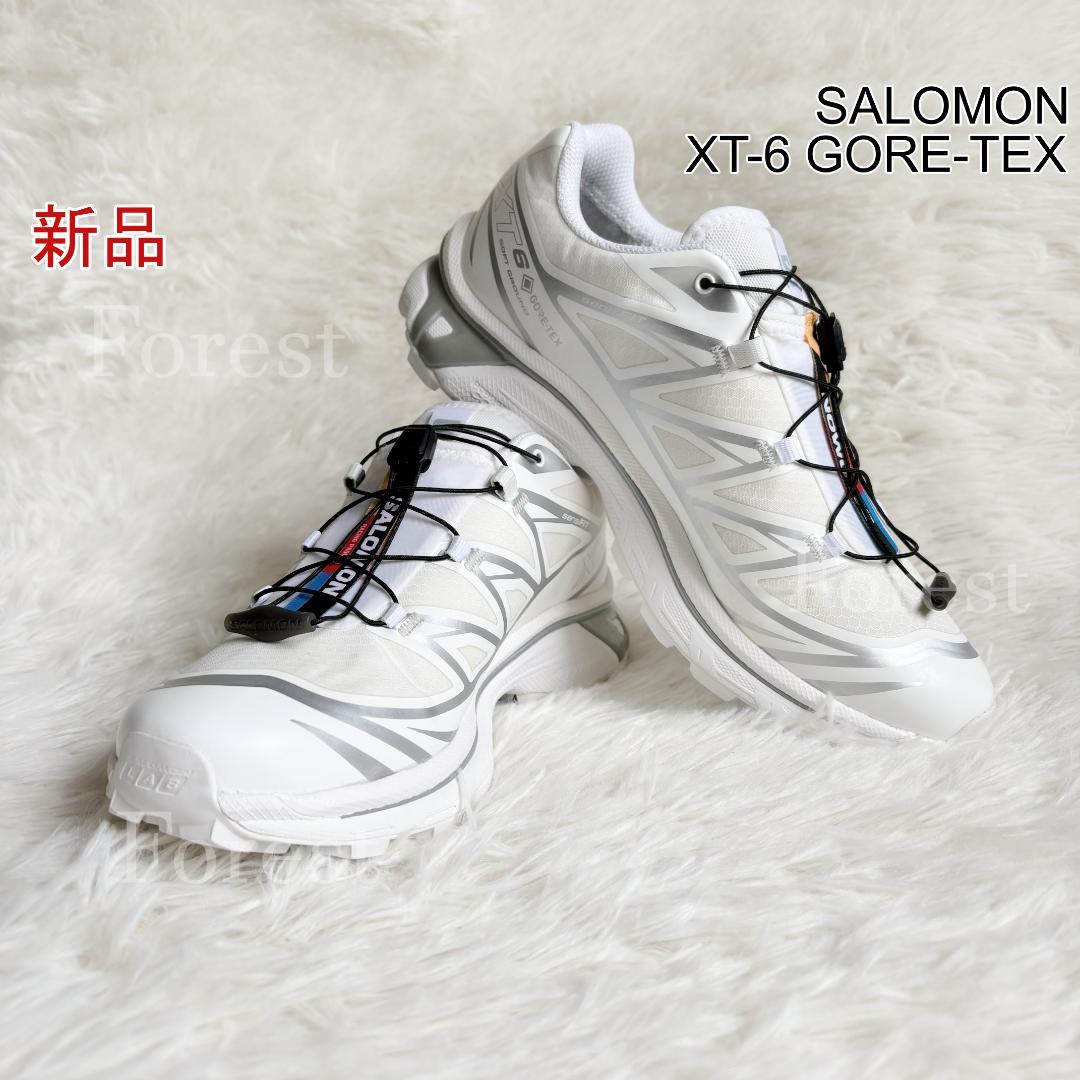 SALOMON XT-6 GTX　25.5