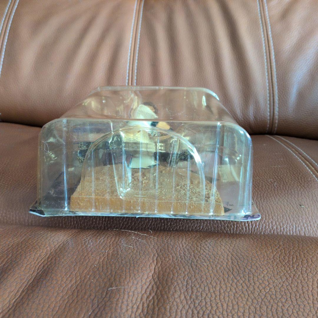 McFarlane Alex Rodriguez フィギュア - メルカリ