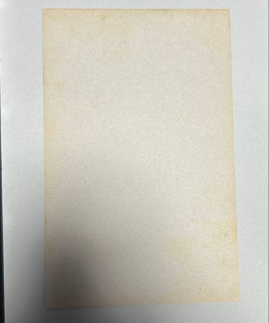 ドラゴンボール カードダス100 台紙 当時物 本弾 第8弾 ドラゴンボール