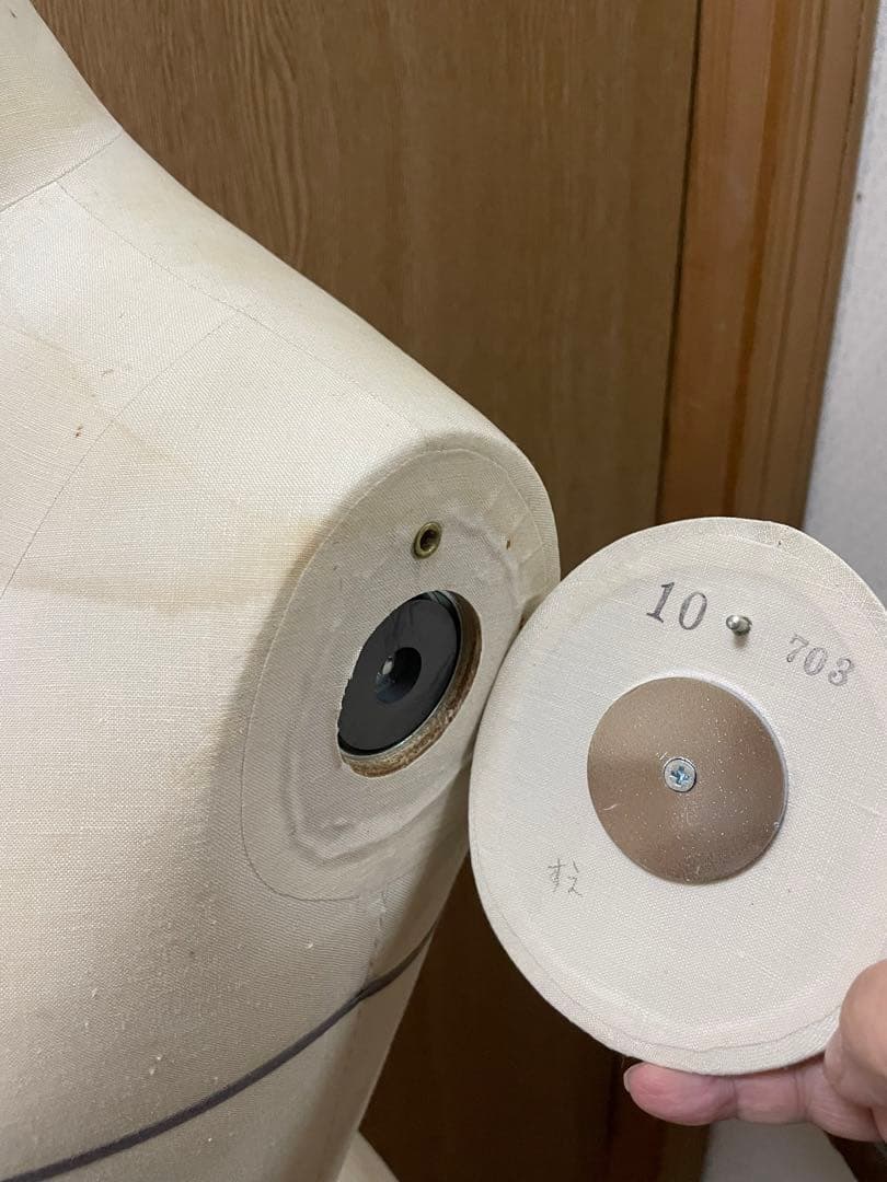 大洋工芸 ミス10号トルソー ボディ MISS10 AMIKO アミコ - メルカリ