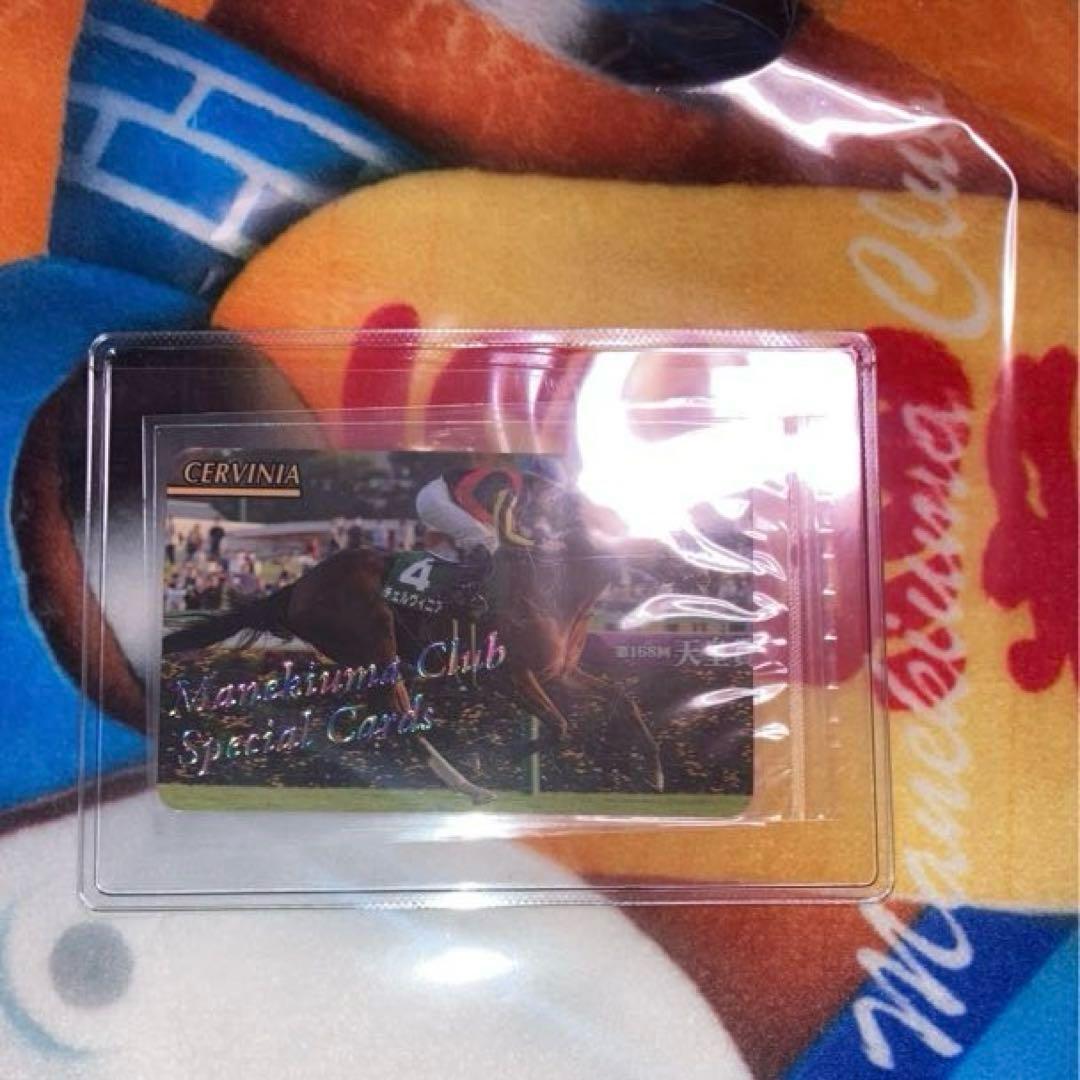 まねき馬カード　チェルヴィニア・レインボーホード