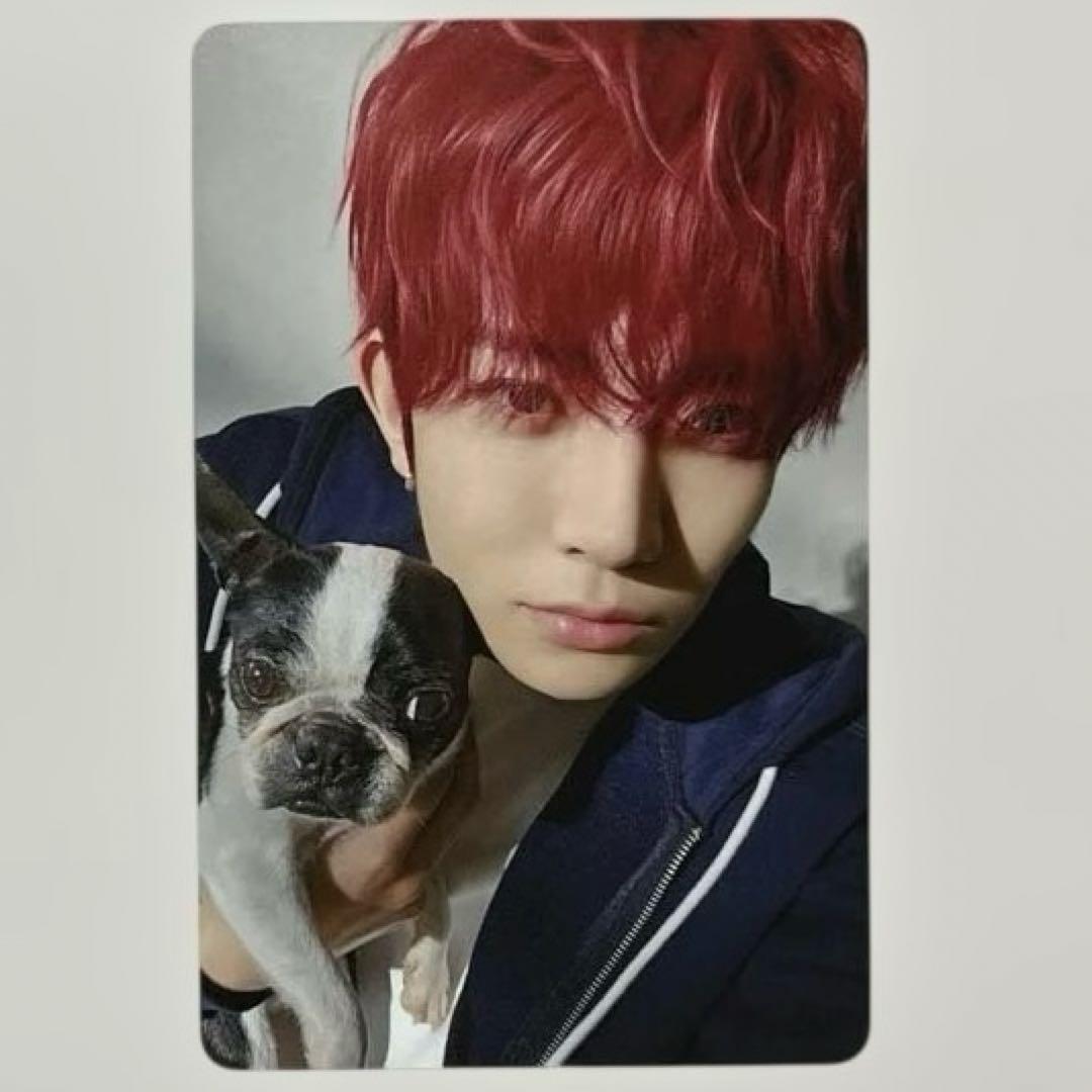 ENHYPEN　アンケート　トレカ　ヒスン　2025 2025 ENHYPEN FC アンケート トレカ 7枚 コンプリート セット - メルカリ