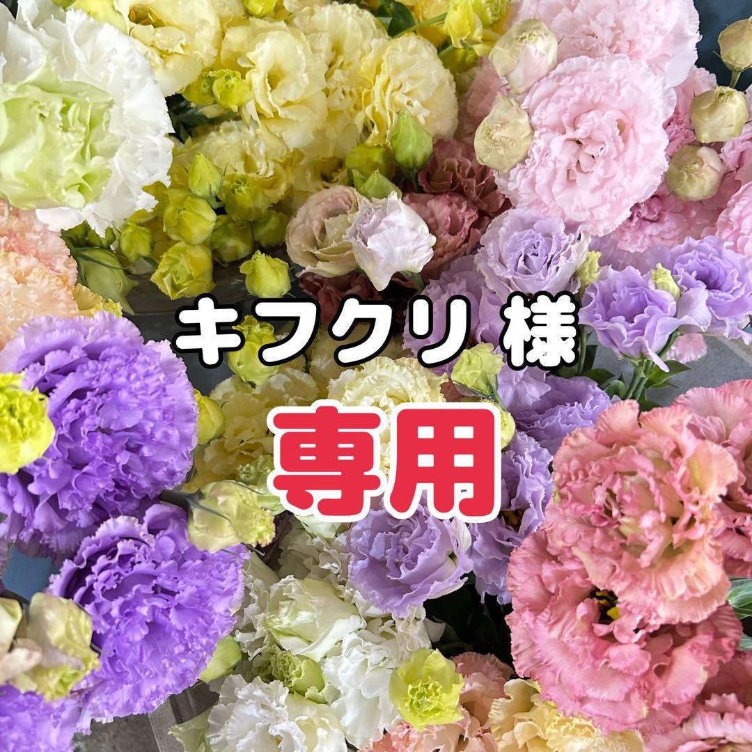 【キフクリ】 キーン｜KEEN メンズ 通販 KEEN キーン DRIFT CREEK H2【軽量】メンズ