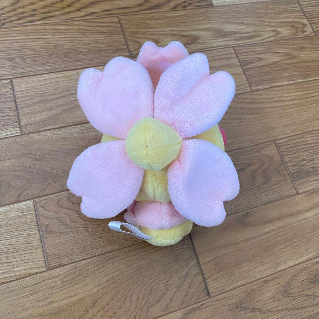 ポケットモンスター チェリムドール ポケドール ぬいぐるみ ポケモン