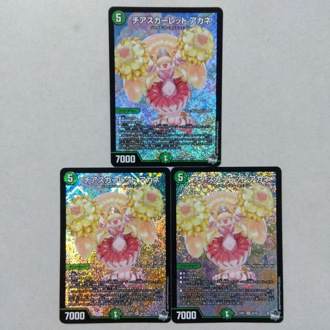 チアスカーレットアカネ　３枚セット