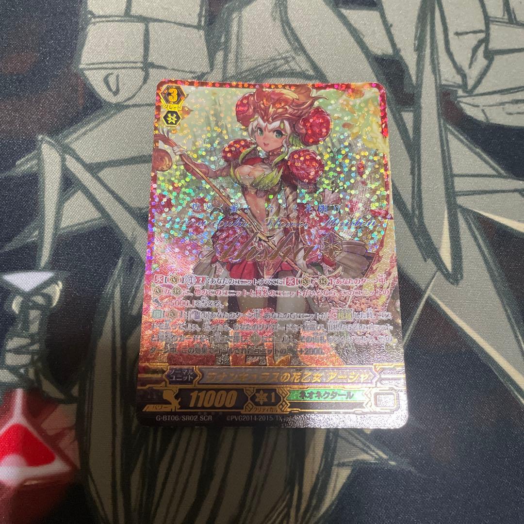 ラナンキュラスの花乙女アーシャ