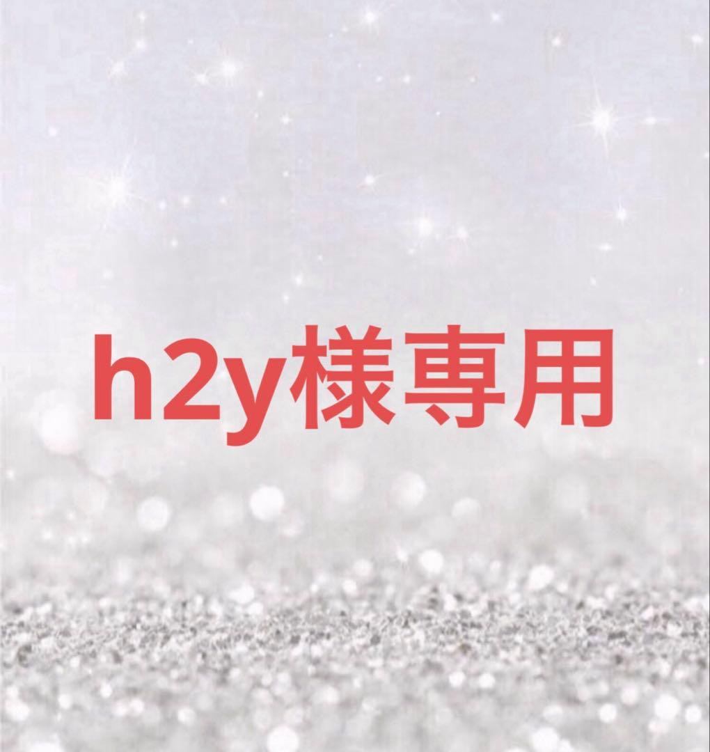 美容液 h2y