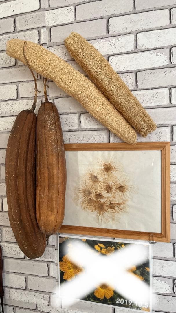 名入れ可能 空飛ぶ画家、糸川裕志の富士山曼荼羅の一点油絵F8号