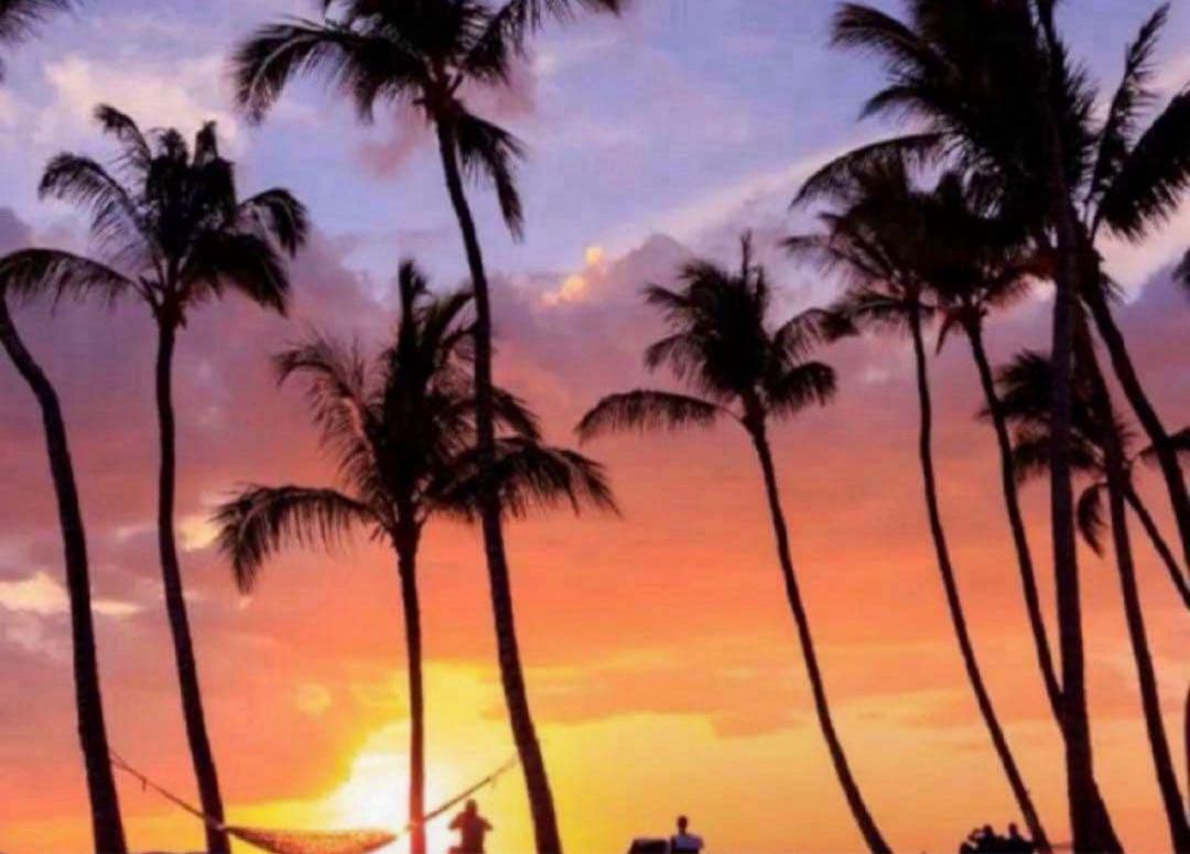 にゃん ニャン作アクリルスタンド（触手遊びセット） – viviON BLUE