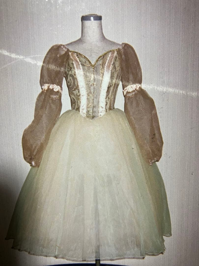 にゃんころ にゃんすけ紹介】 こんにちは👋 ぼくたちは「ごろごろにゃんすけ」って