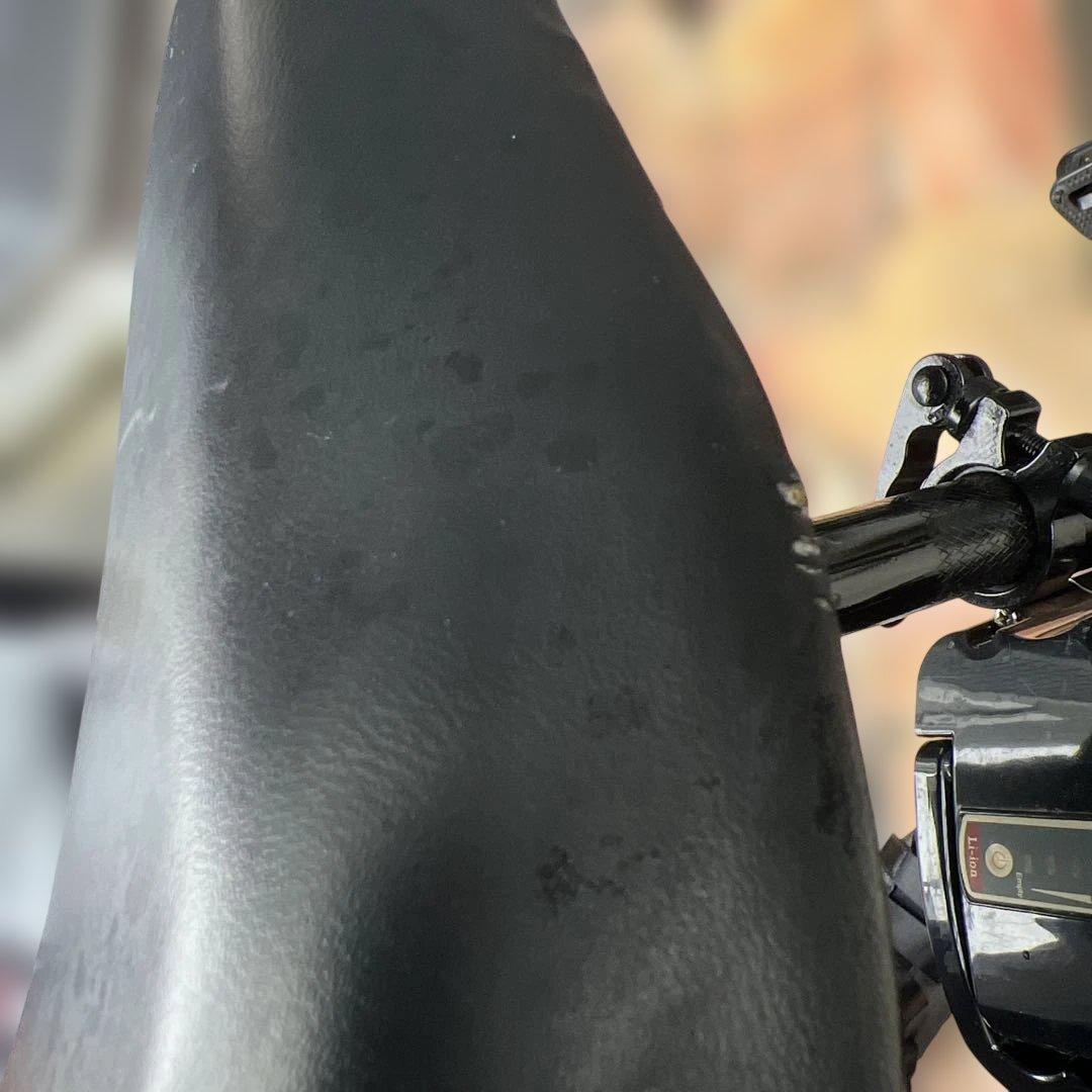 専用 SUNPIE ディスク式 折り畳み 電動自転車 16インチ - メルカリ