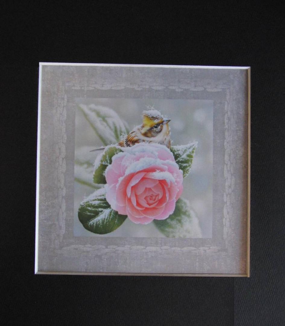 山地司、【乙女椿とミヤマホオジロ】、希少な額装用画集より、状態良好、新品額装付