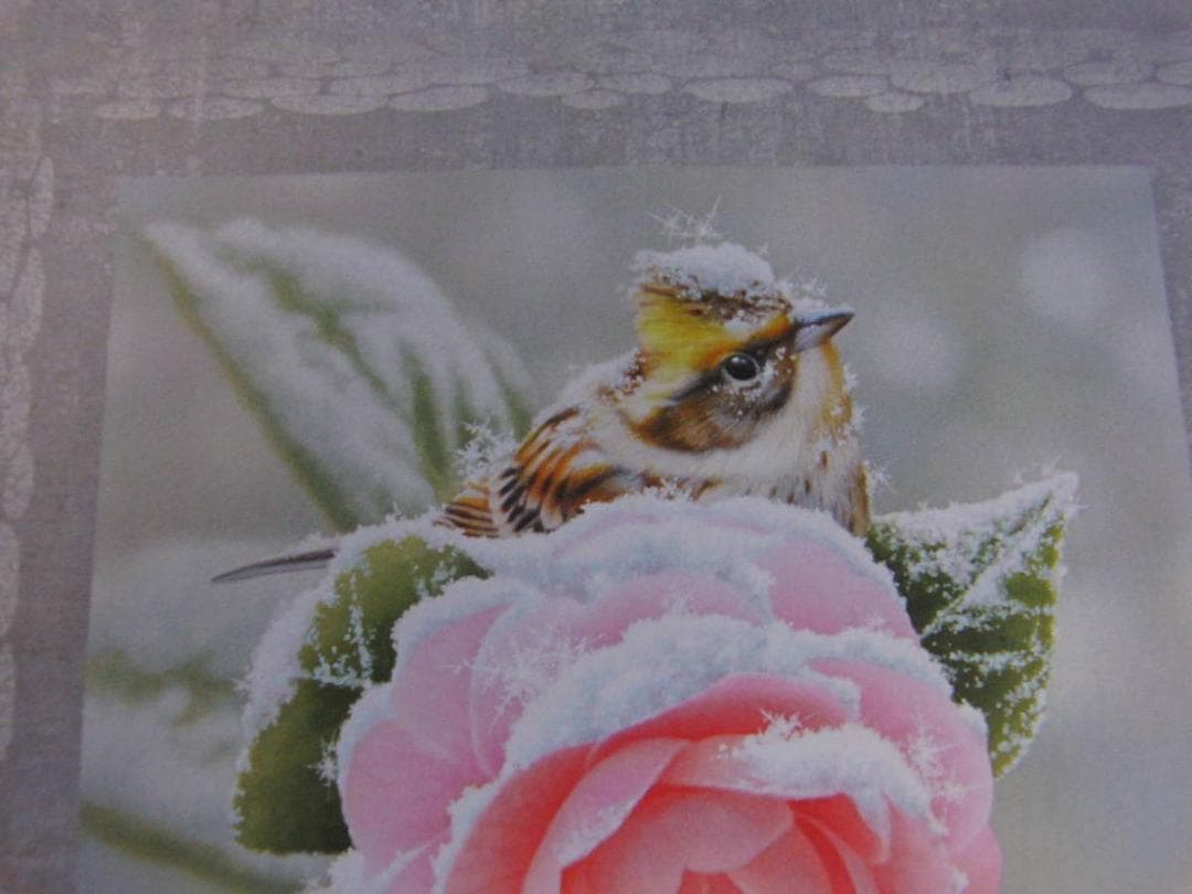 山地司、【乙女椿とミヤマホオジロ】、希少な額装用画集より、状態良好、新品額装付