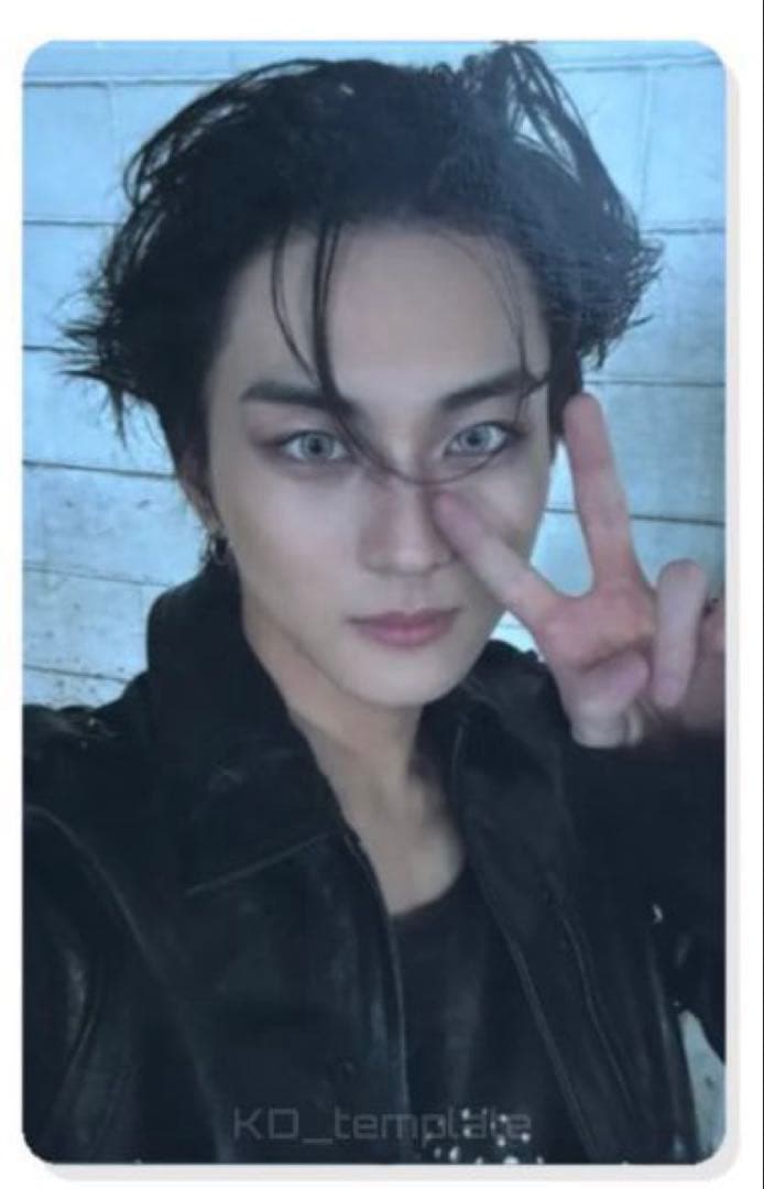 ENHYPEN THE SIN:VANISH target ジョンウォン