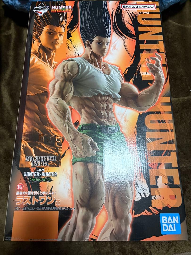 N*s様 HUNTER HUNTER ゴン・フリークス フィギュア