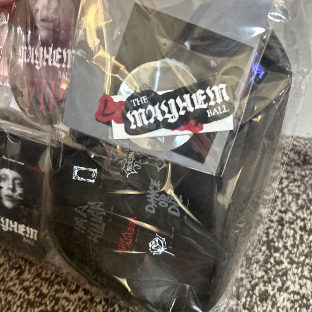 レディー・ガガ 2026 シルバーVIP グッズ 新品未開封 - メルカリ