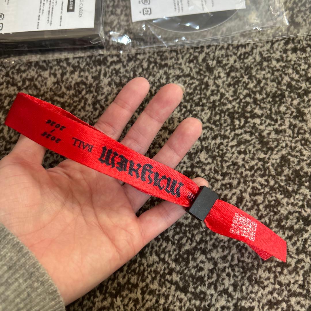 レディー・ガガ 2026 シルバーVIP グッズ 新品未開封 - メルカリ