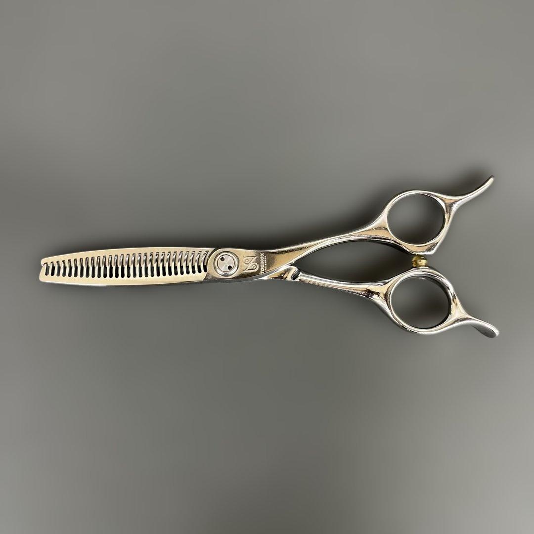 トギノンセニング　New リバースHI5.8インチ　本日特別価格　GHさん専用 JAPANNEXT 24.5インチIPSパネル 240Hz対応ゲーミングモニター JN