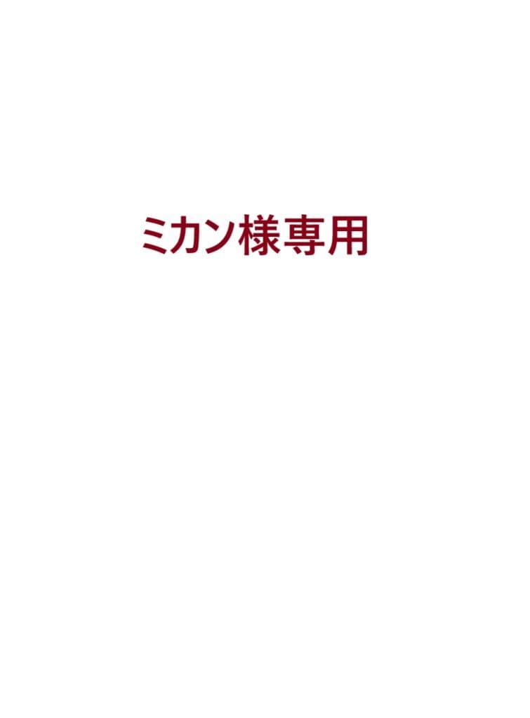 ミカン L-29x1 早津みかん園のクレメンティン 3kg 【2026年1月下旬～2月下旬