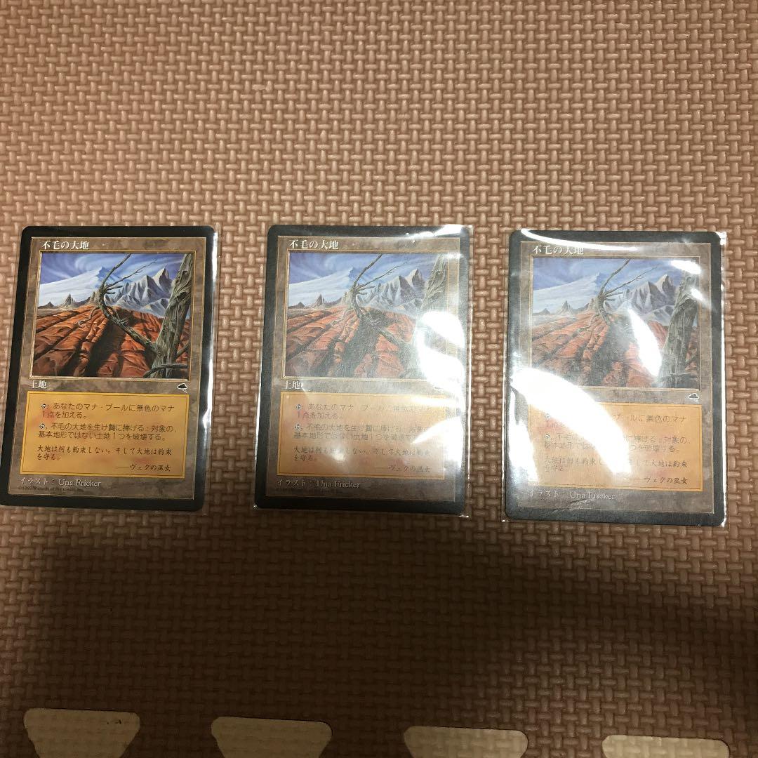 【大幅値下げ！】マジックザギャザリング 不毛の大地3枚セット 日本語版 030)《不毛の大地/Wasteland》[ZNE] 土地R | 日本最大級 MTG通販サイト