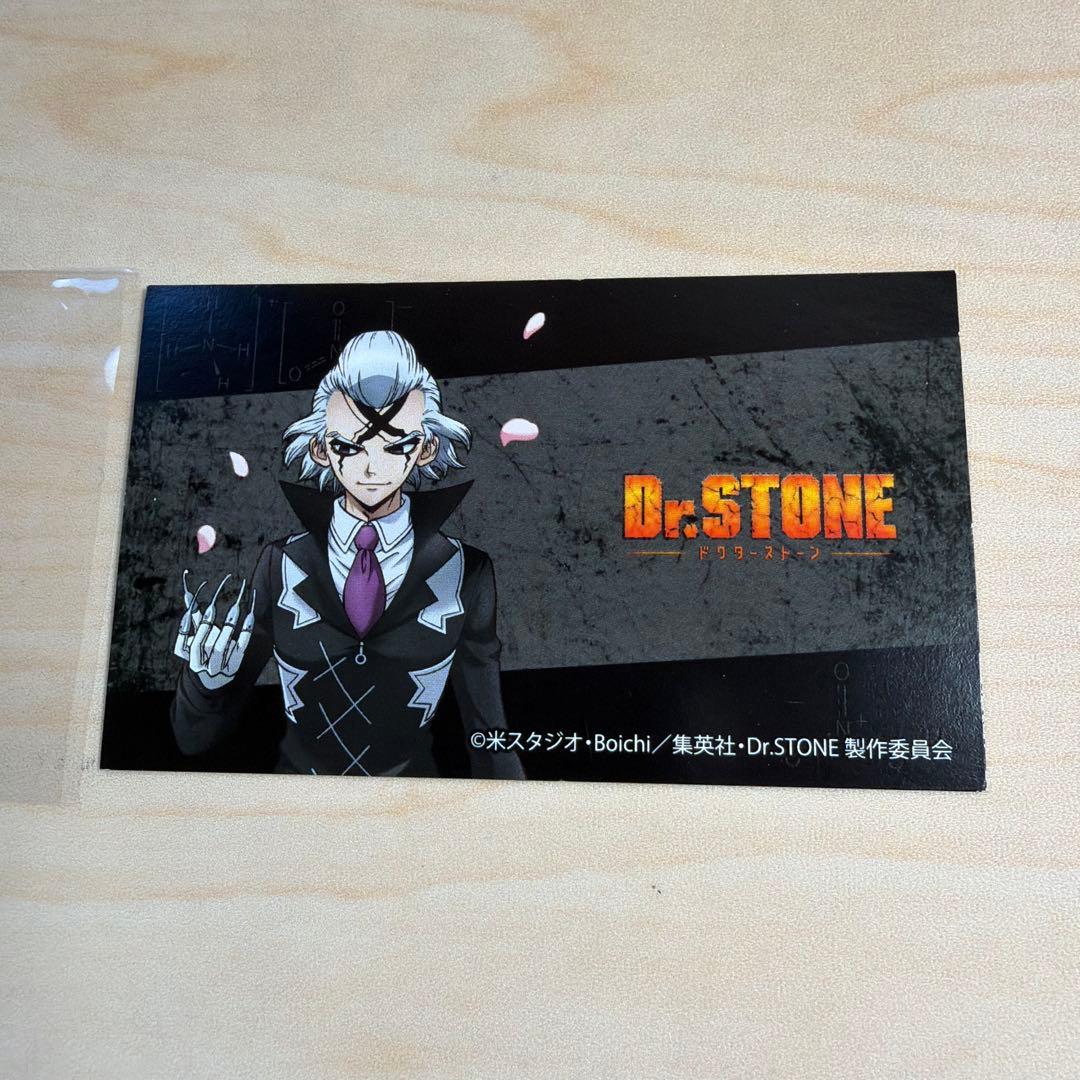 ほぼ未使用】Dr. STONE ドクスト ゼノモチーフリング 指輪16号 - メルカリ