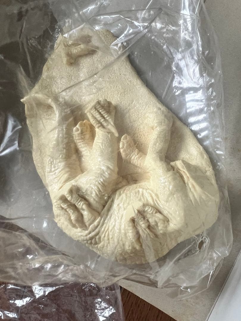 海洋堂 ヴェロキラプトル レジンキット 恐竜 動物 フィギュア - メルカリ