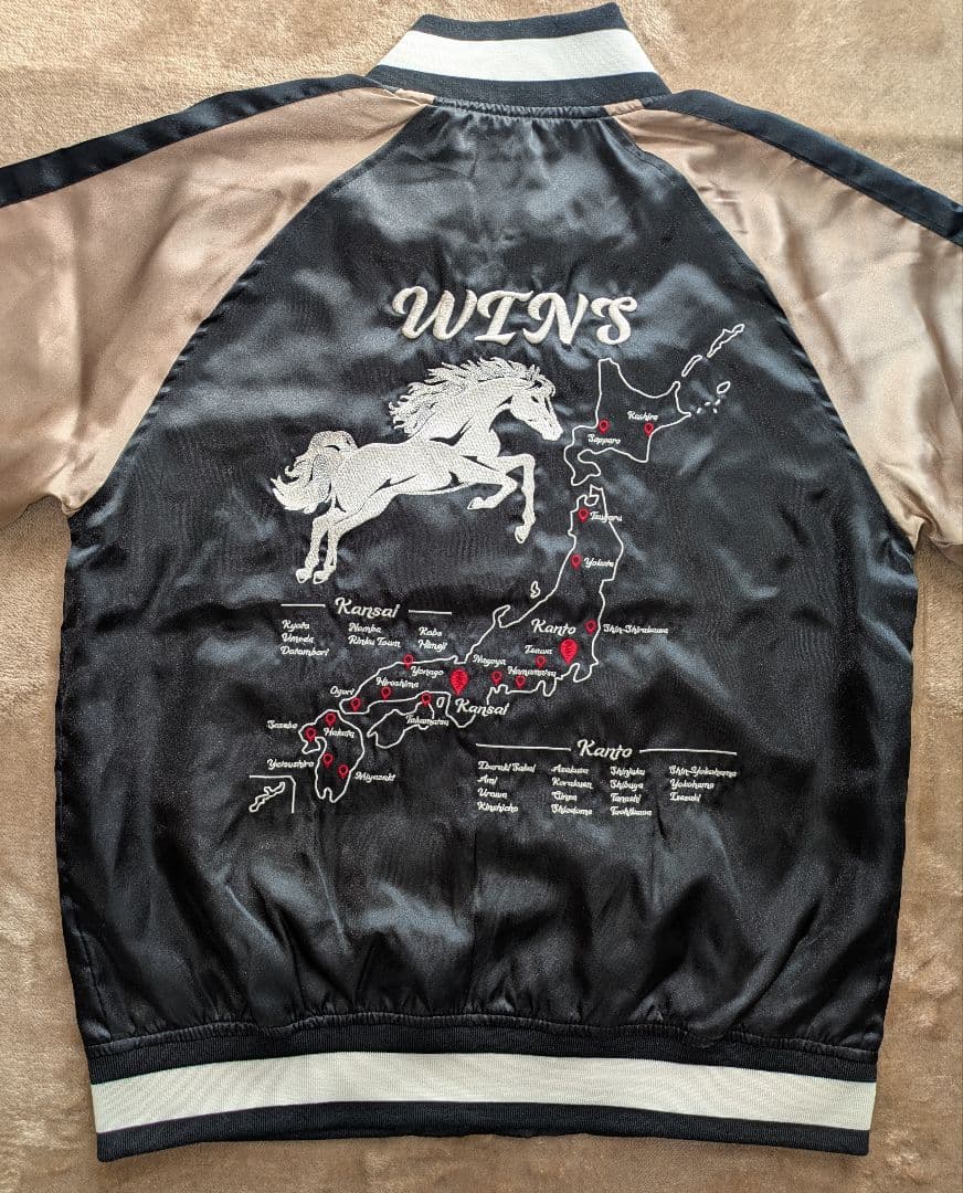 WINS 馬刺繍 スカジャン