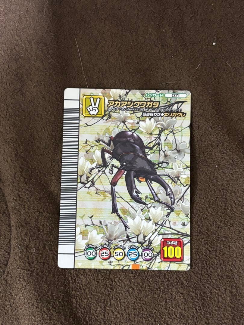 甲虫王者ムシキング カード まとめ売り 約250枚 最終値下げ - メルカリ
