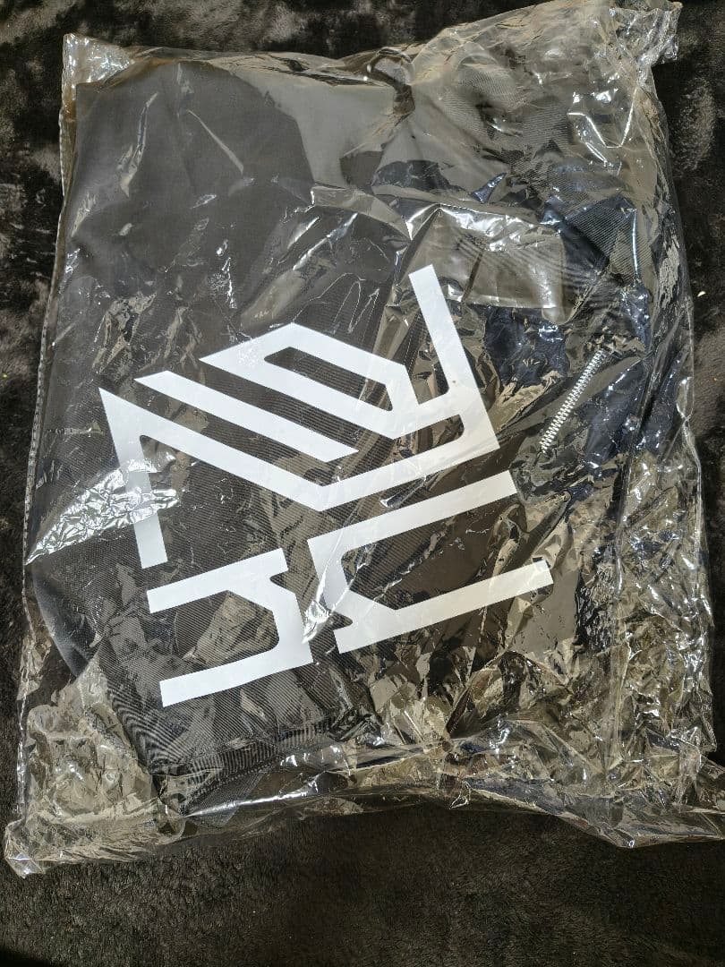 平沢進　核P-MODEL unZIPリュック