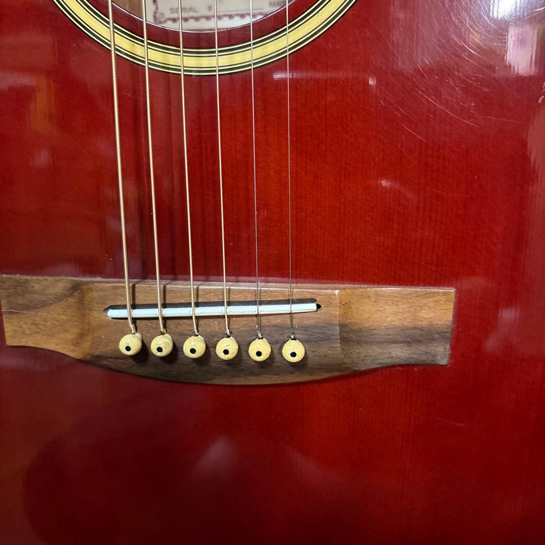 値下げ！Sepia Crue EAW350-WRS エレアコ 小ぶり新品弦❗️