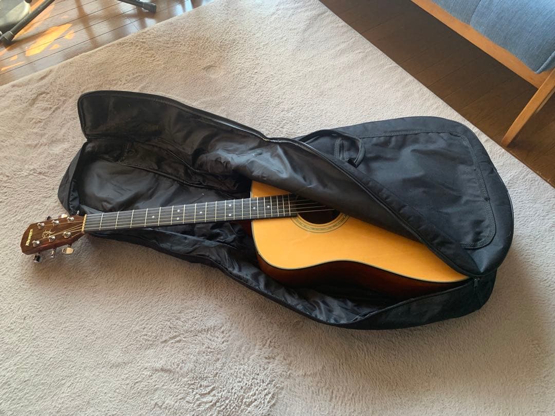 単板 美音 アコギ Morris M-12ⅡNAT アコースティックギター単板 美音