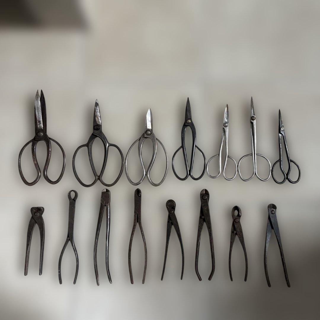 K*o様 盆栽鋏 7本　瘤切り3本　針金切り5本 盆栽道具 針金切鋏（兼進作）165mm No.20F - 盆栽、園芸道具の兼進