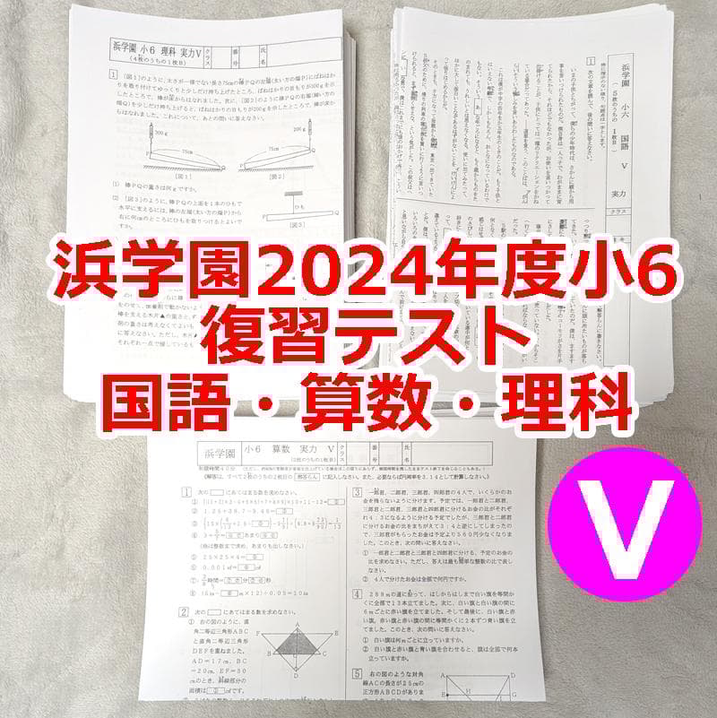 浜学園小6 2024年度 Vクラス復習テスト国語 算数 理科 1年分 - メルカリ