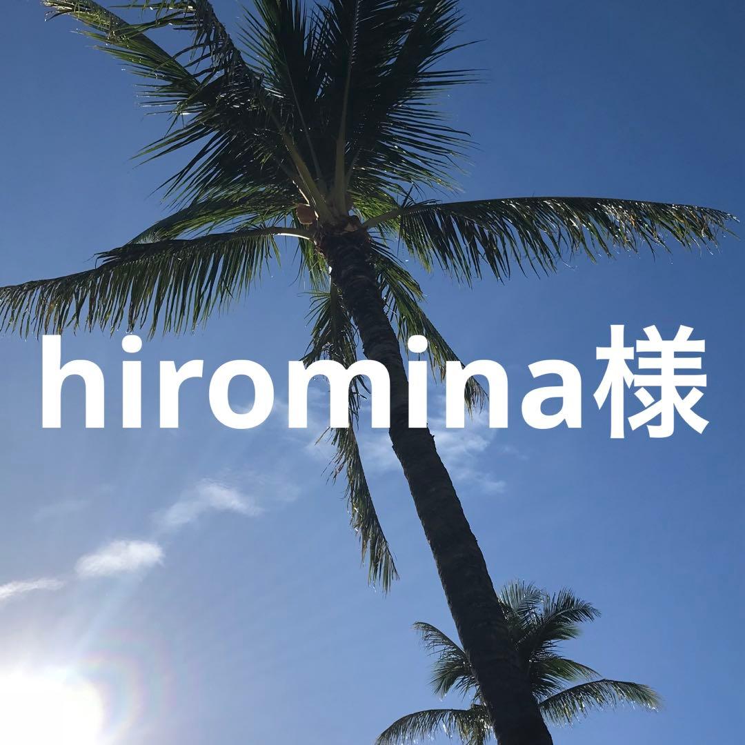 hiromina様 リクエスト 2点 まとめ商品