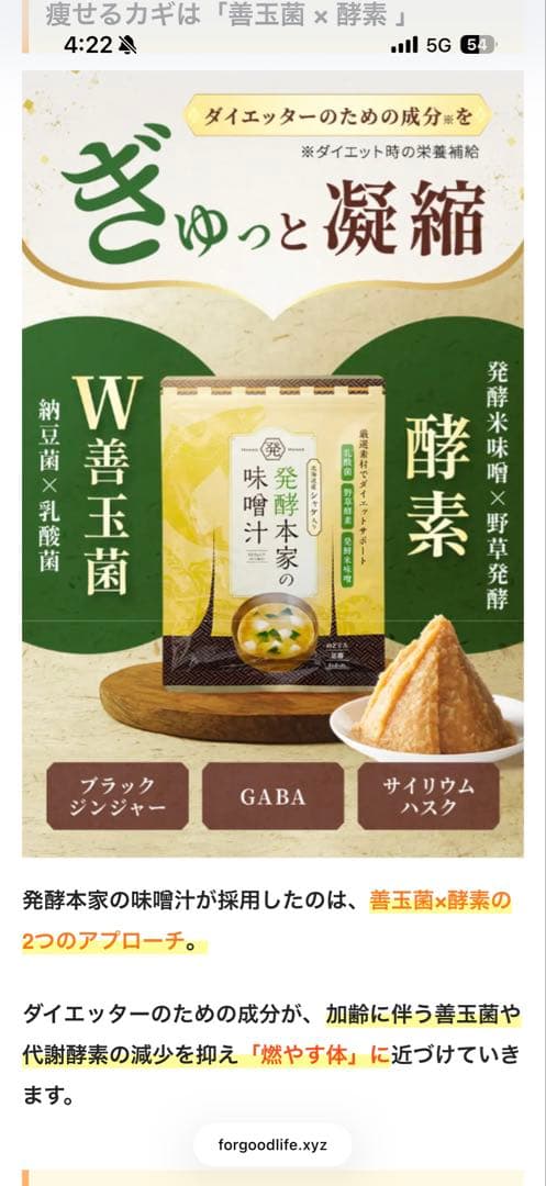 発酵味噌汁の素 5g×3袋