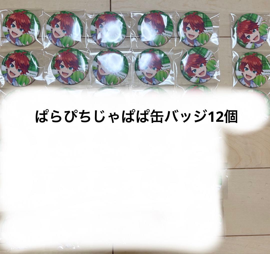 からぴち　カラフルピーチ　からぴちパラダイス2025 じゃぱぱ　缶バッジ