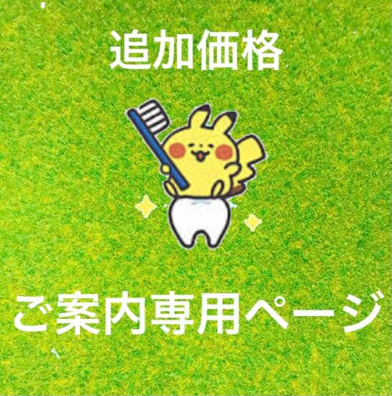 追加価格のご案内専用ページ