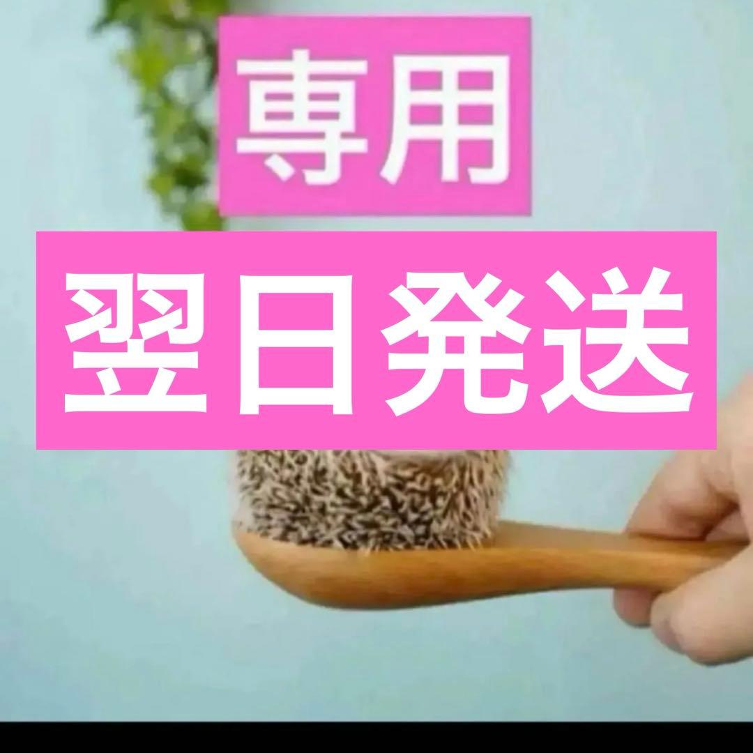 2点、ルネクタープレミエ、ルボームドミニュイ