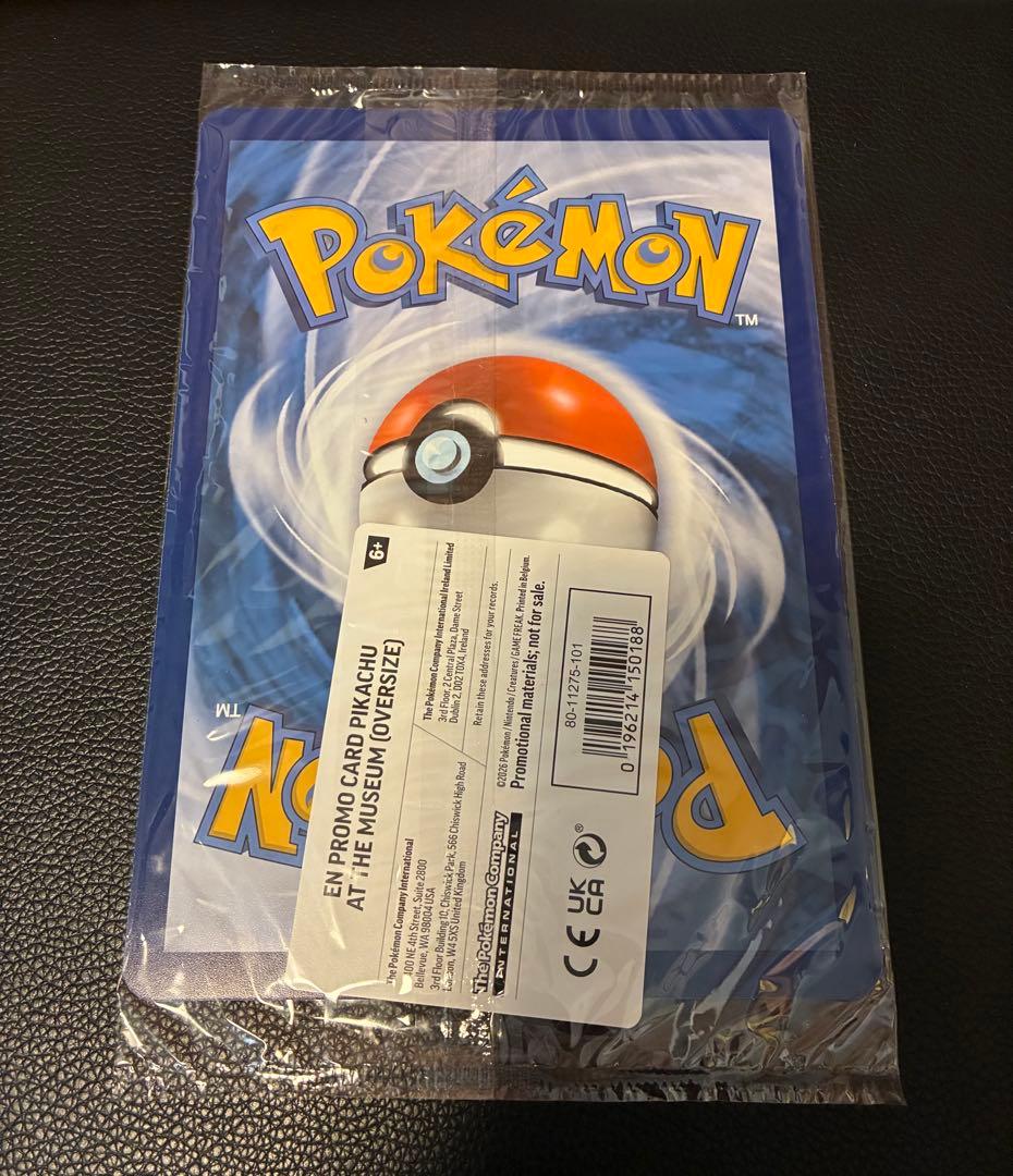 Pikachu at the Museum ピカチュウ ロンドン自然史博物館⑧ - メルカリ