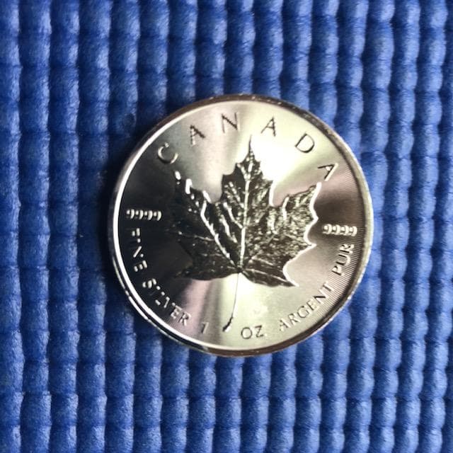 2015年 メープルリーフ銀貨 31.1g (１ オンス)