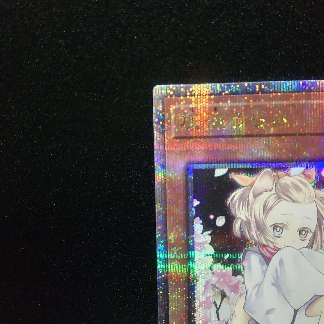 遊戯王 灰流うらら(絵違い) 25th(クォーターセンチュリーシークレット