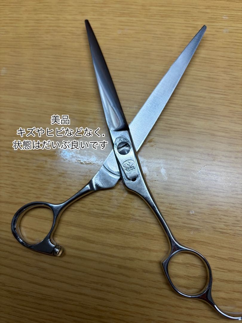 YAGYU柳生REOX 6.5インチ シーザー