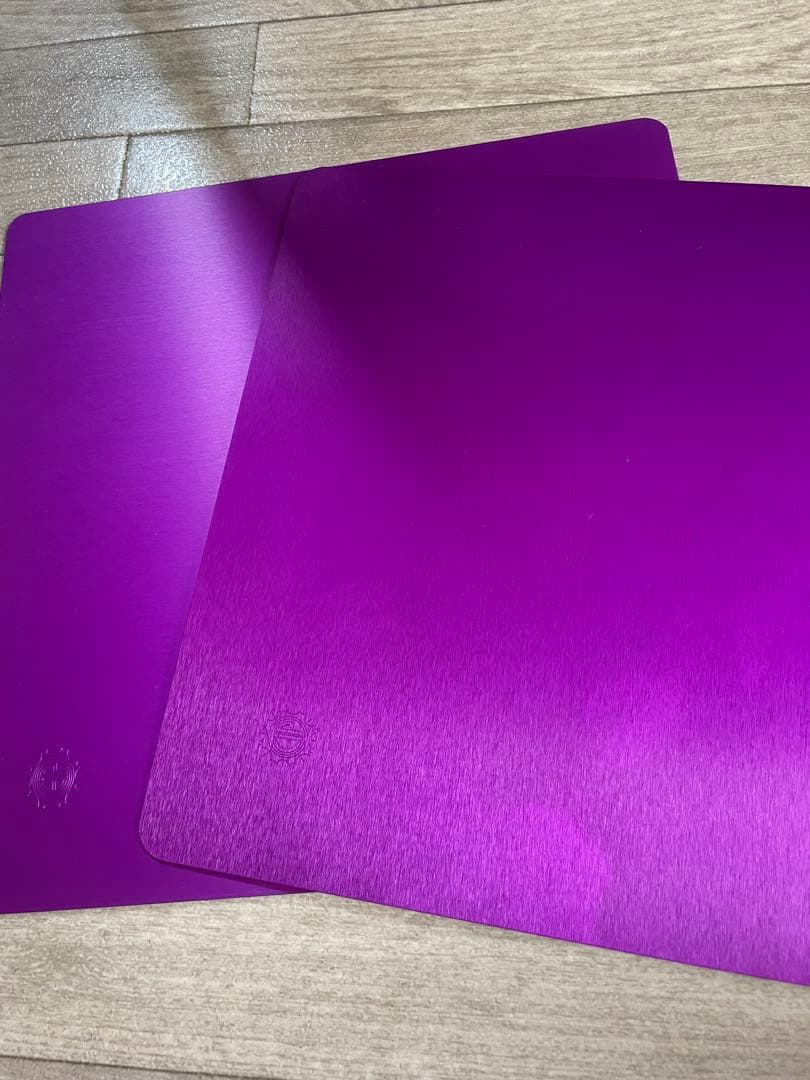 パープルプレート　Lサイズ　純正品　2枚セット　ニコラテスラ