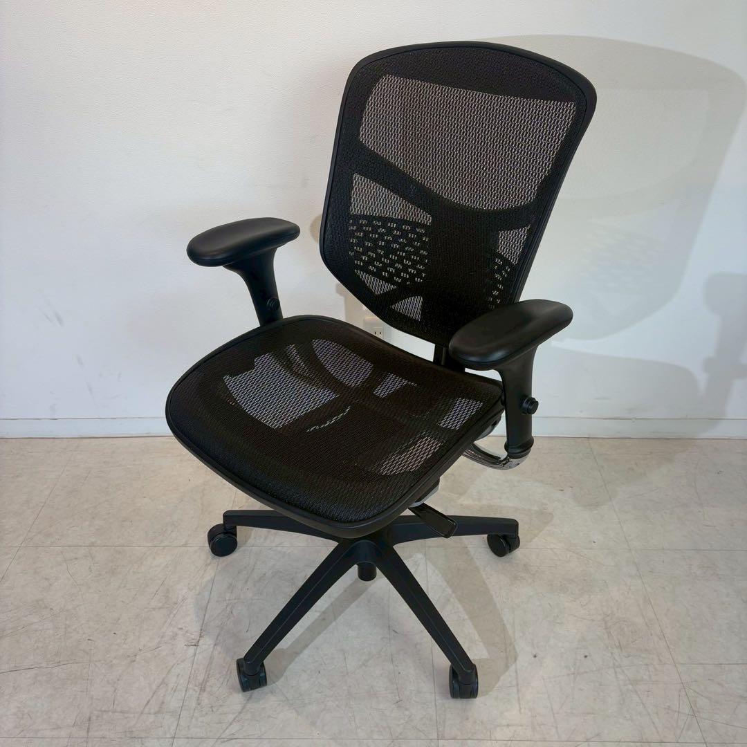 エンジョイ Ergohumanエルゴヒューマン 肘付きオフィスチェア 1/3