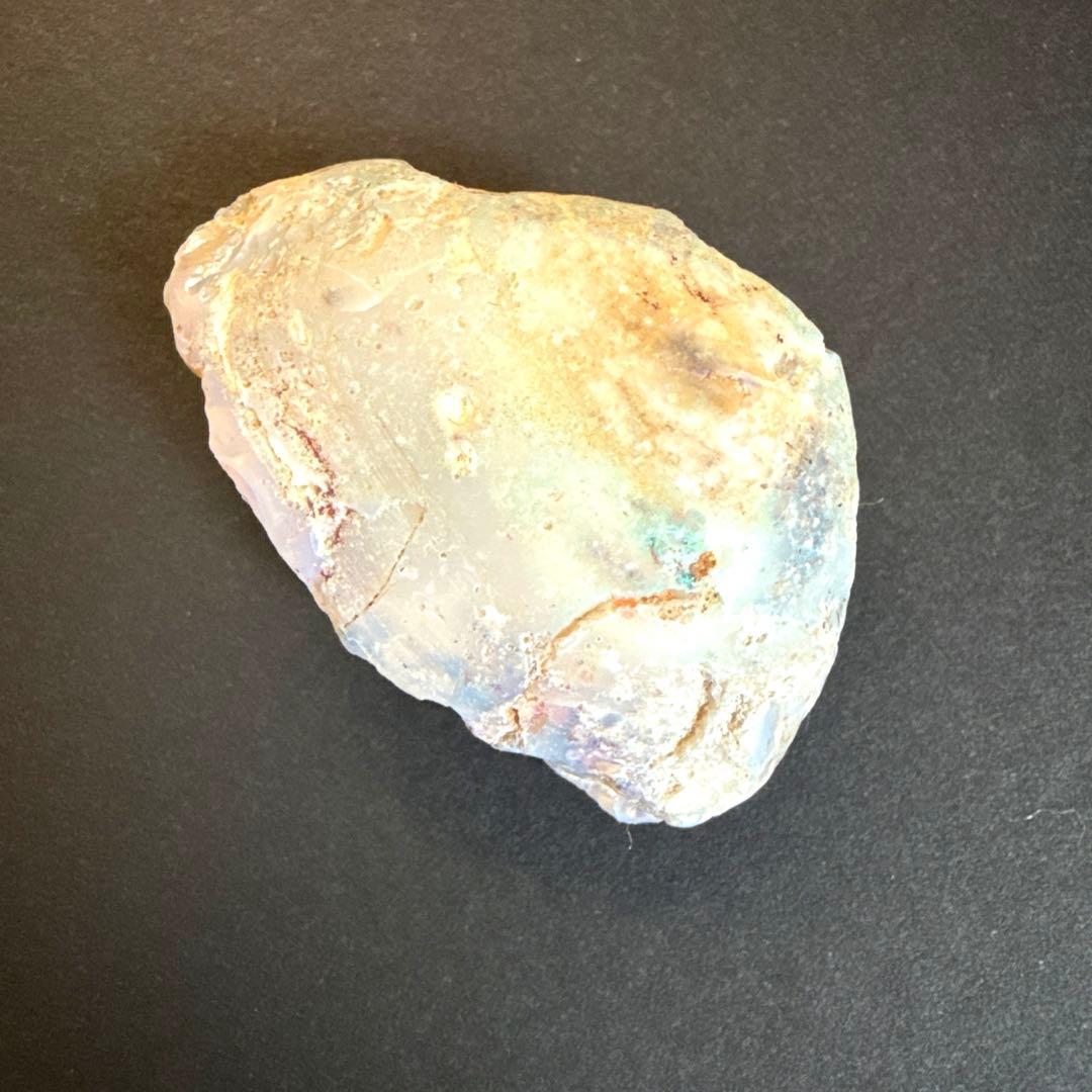 シェルオパール　貝オパール　オパール化貝化石