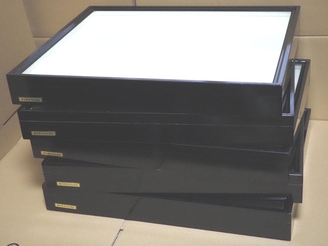 標本箱 ドイツ箱　大型　5個セット