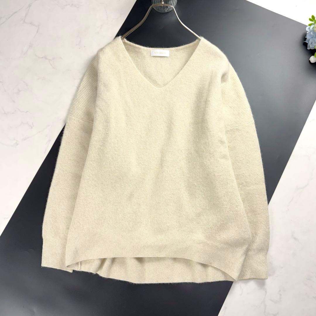 2024極美品✨ RIVE DROITE ヘアリーウール 片畦Vネックニット
