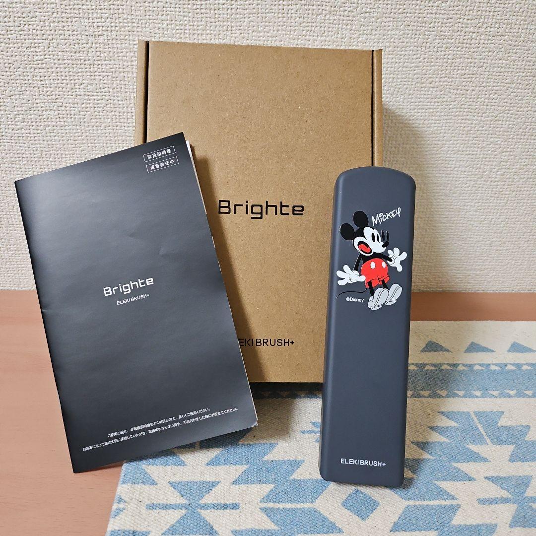ヨ*ン様 Brighte ELIKBRUSH+ ミッキー