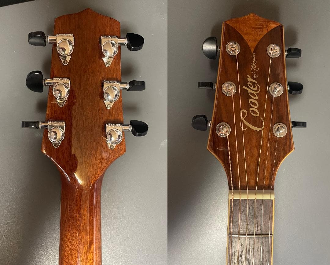 ブランドホビー・楽器・アート - Takamine Cooder TCP-560VB