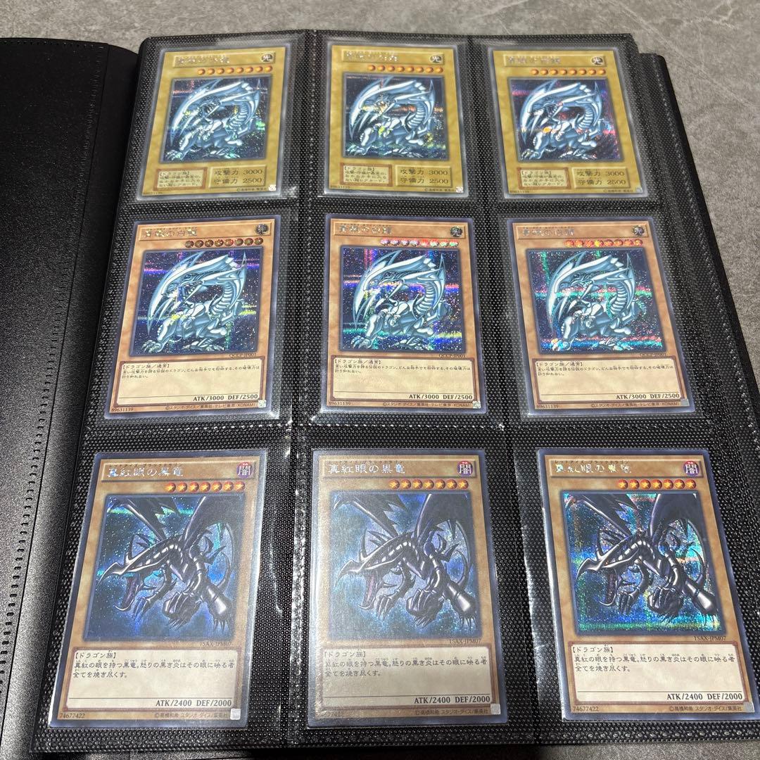 ＊シュゲー カード154枚＋パタゴニアダウンベスト